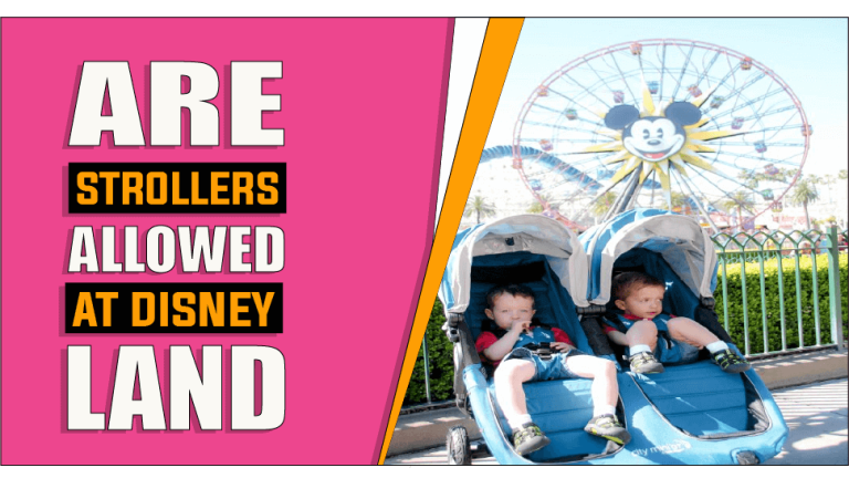 Are Strollers Allowed At Disneyland – The Truth Reveals